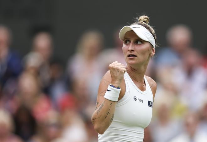 引入了多名 引入了多名