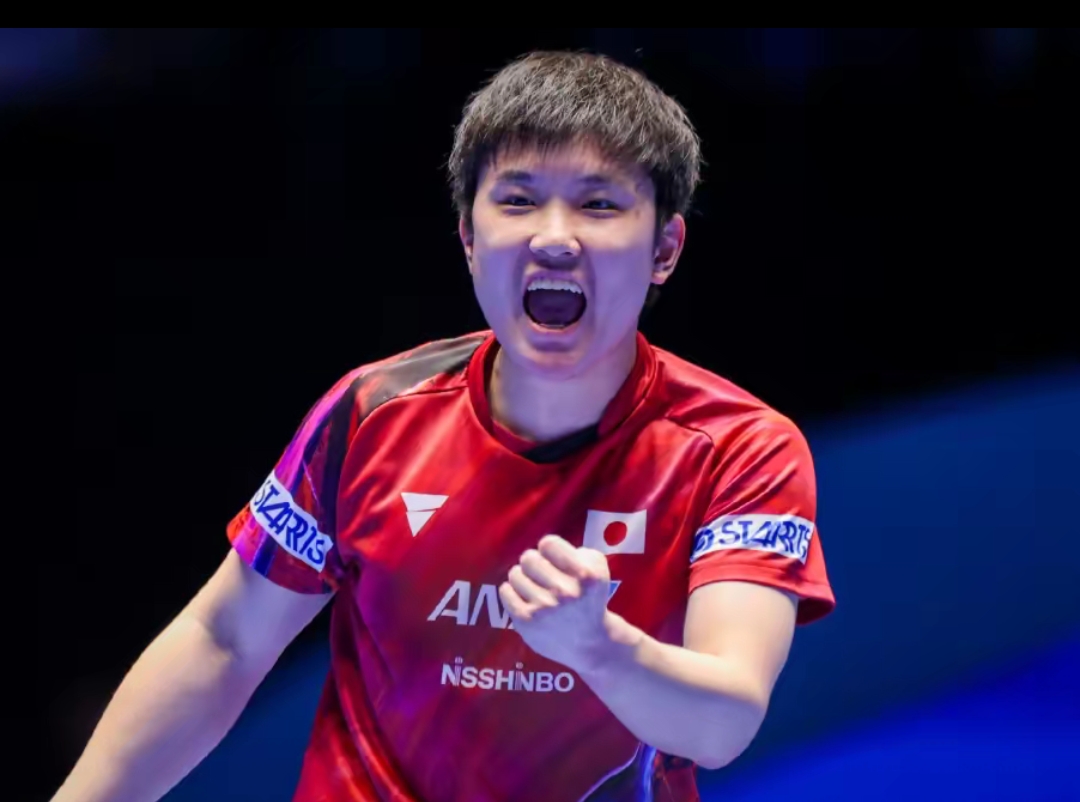 的实操建议 的实操建议